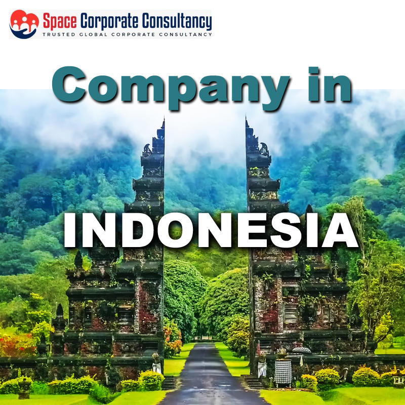COMPANY FORMATION IN INDONESIA